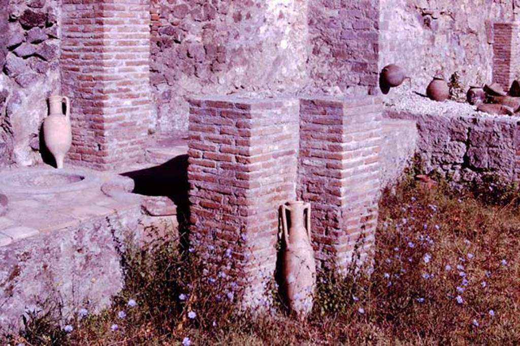 VI.8.8 Pompeii. 1966. Looking north-west along west side. Photo by Stanley A. Jashemski.
Source: The Wilhelmina and Stanley A. Jashemski archive in the University of Maryland Library, Special Collections (See collection page) and made available under the Creative Commons Attribution-Non Commercial License v.4. See Licence and use details.
J66f0540


