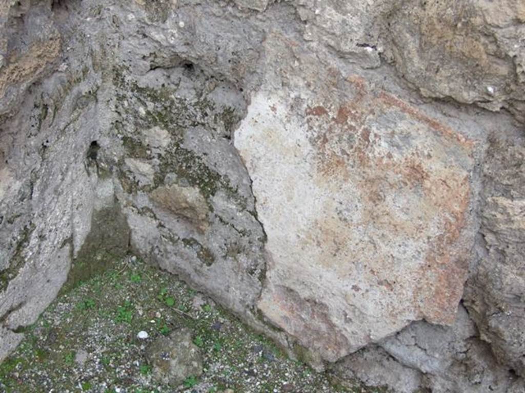 VI.8.11 Pompeii.  Shop.  December 2007.  Remains of painted plaster in north west corner of rear room.