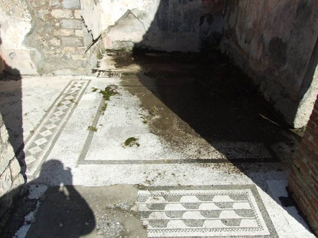 VI.8.20 Pompeii. March 2009.  Room 5. Mosaic floor.

