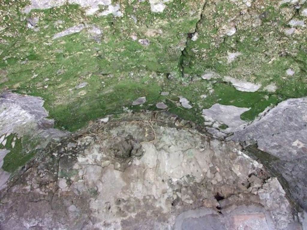 VI.8.20 Pompeii. March 2009. Room 19. North wall with vaulted ceiling.