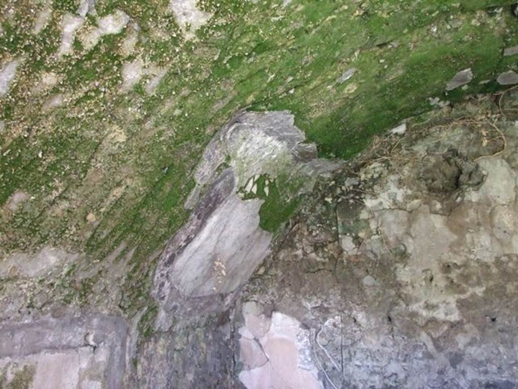 VI.8.20 Pompeii. March 2009. Room 19. North wall. North west corner.