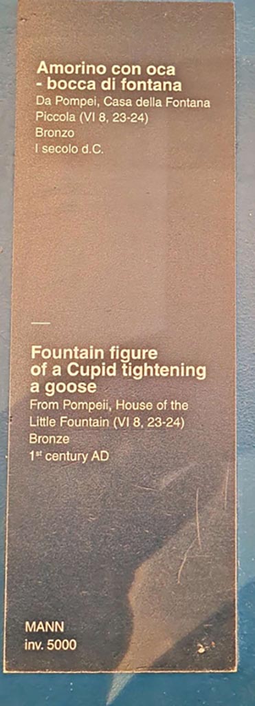 VI.8.23 Pompeii. October 2023.
Descriptive card. Photo courtesy of Giuseppe Ciaramella. 

