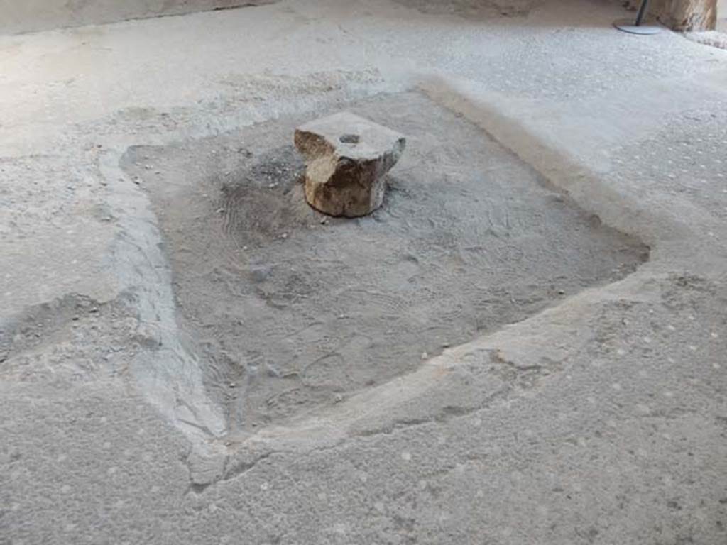 VI.8.24 Pompeii. May 2017. Impluvium in atrium, and detail of atrium flooring. Photo courtesy of Buzz Ferebee.

