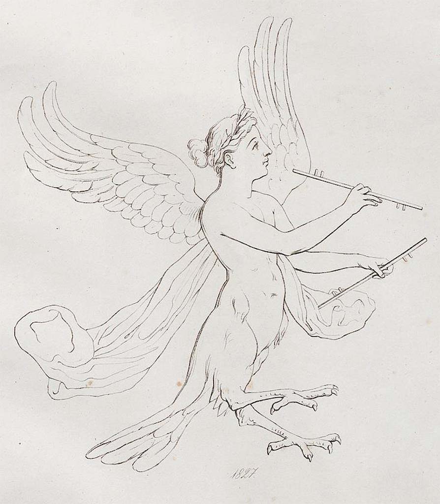 VI.8.24 Pompeii. 1827 drawing by Zahn of Siren playing the double flute.
Drawing by Zahn of Siren playing the double flute, painted green with white shadows, on a white background of the side panel on the east wall of the triclinium.
See Zahn, W., 1852-59. Die schönsten Ornamente und merkwürdigsten Gemälde aus Pompeji, Herkulanum und Stabiae: III. Berlin: Reimer, taf. 55.

