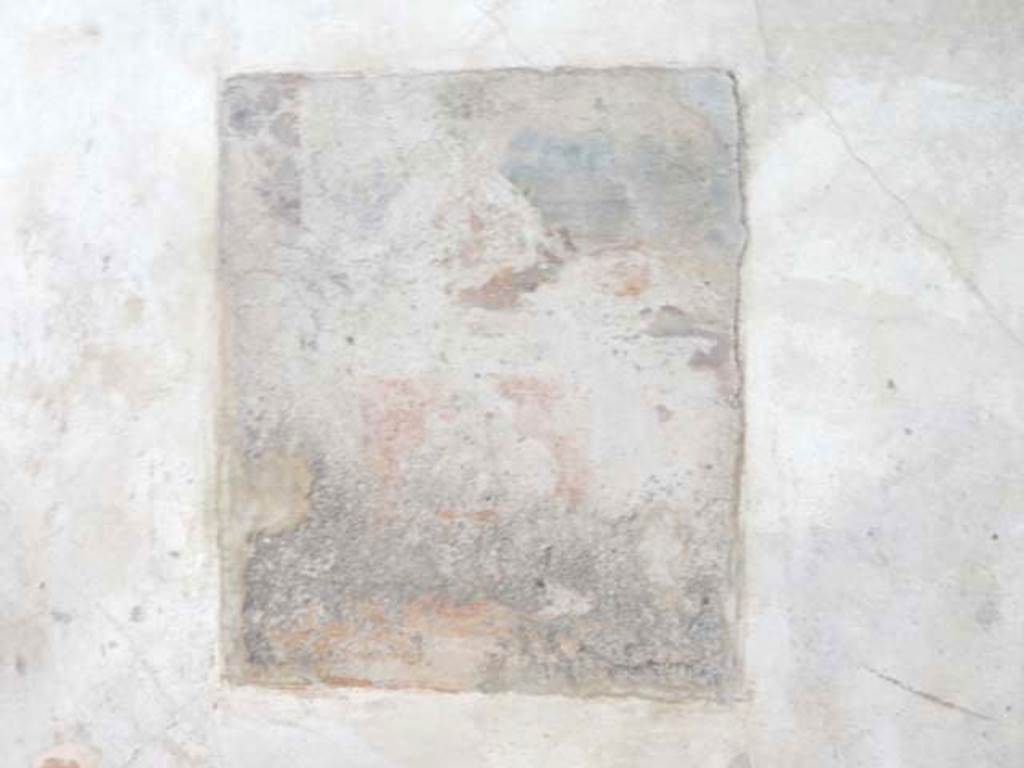 VI.8.24 Pompeii. May 2017. Detail of central painting from south wall of triclinium. Photo courtesy of Buzz Ferebee.
The central painting, now almost completely faded, might have shown a still life of a turkey/cock in front of a window. 
