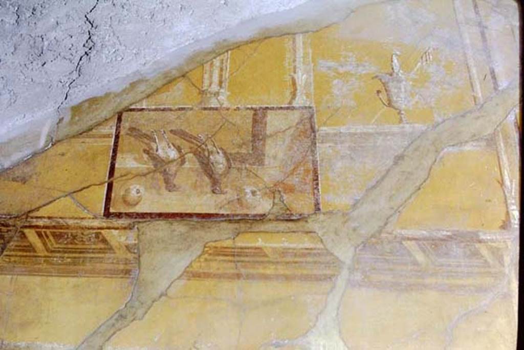 VI.9.2 Pompeii. 1968. Room 24, Corinthian oecus, east end of south wall. Still life painting of dead birds and fruit. Photo by Stanley A. Jashemski.
Source: The Wilhelmina and Stanley A. Jashemski archive in the University of Maryland Library, Special Collections (See collection page) and made available under the Creative Commons Attribution-Non Commercial License v.4. See Licence and use details. J68f1003  
