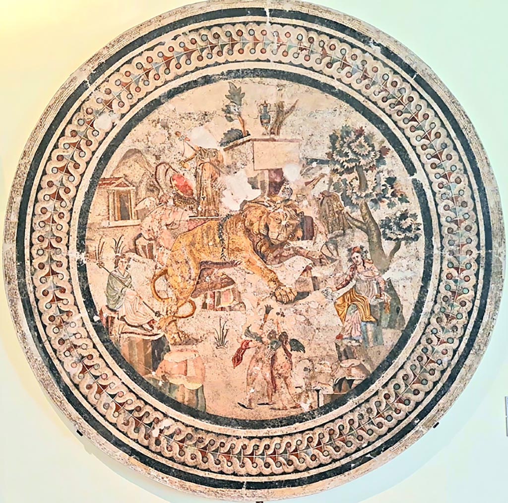 VI.9.5 Pompeii. September 2024.
Triclinium 27, mosaic of lion and cupids between Dionysus and maenads. Found in April 1829. Photo courtesy of Giuseppe Ciaramella.
Now in Naples Archaeological Museum. Inventory number 10019.
Kuivalainen comments: the references to wine, the drinking vessel in the hand of the maenad, the amphora uppermost on the scene, and finally the statue pouring wine from a jug, all point to the cult of Bacchus in his presence.
See Kuivalainen, I., 2021. The Portrayal of Pompeian Bacchus. Commentationes Humanarum Litterarum 140. Helsinki: Finnish Society of Sciences and Letters, (p.91-93, A14).