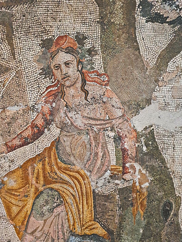 VI.9.5 Pompeii. September 2024.
Triclinium 27, detail of maenad. Found in April 1829. Photo courtesy of Giuseppe Ciaramella.
Now in Naples Archaeological Museum. Inventory number 10019.