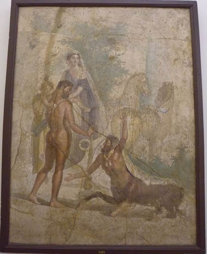 VI.9.5 Pompeii. Found 27th April 1829. Tablinum. South wall. Wall painting of Hercules, Nessus and Deianeira. Now in Naples Archaeological Museum. Inventory number 9001.