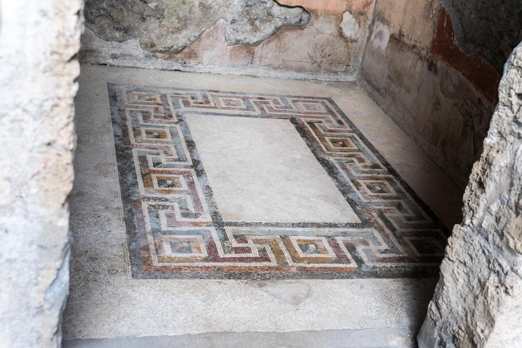 VI.9.6 Pompeii. January 2023. Room 12, coloured mosaic floor. Photo courtesy of Johannes Eber.