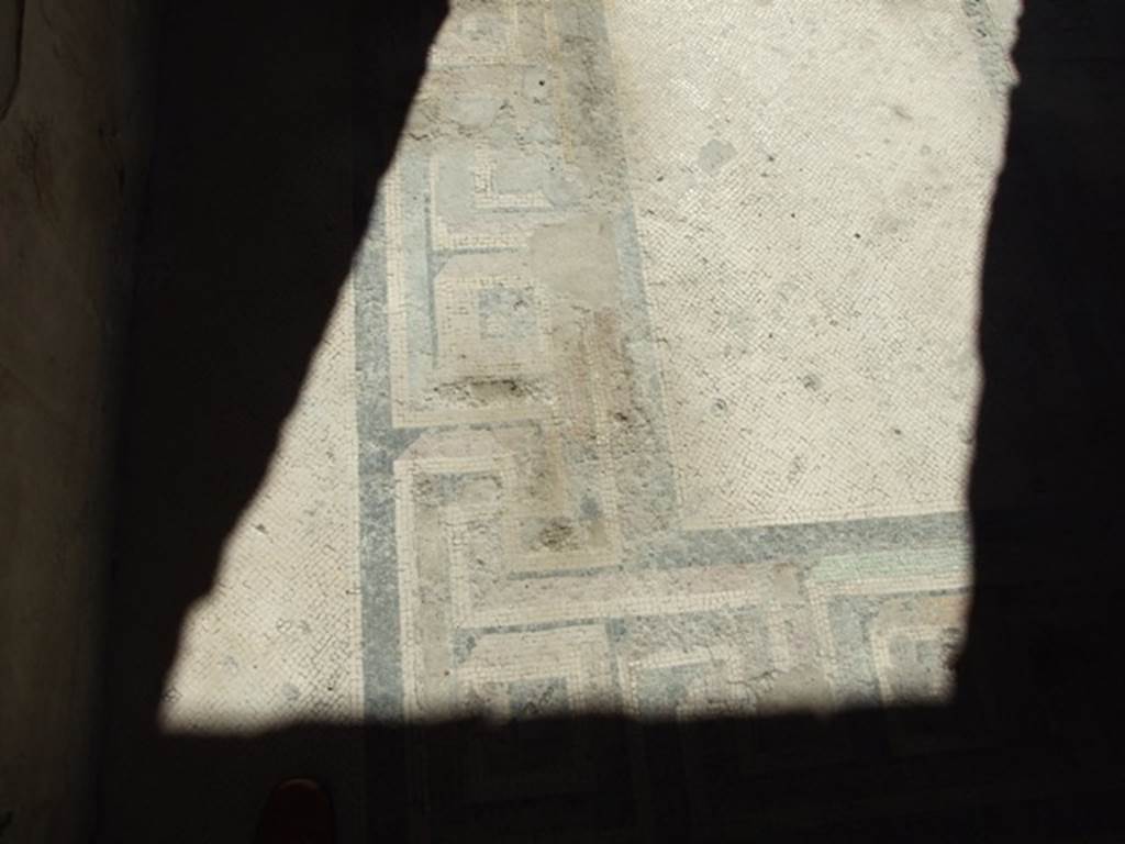 VI.9.6 Pompeii.  March 2009.  Room 12.  Coloured mosaic floor.