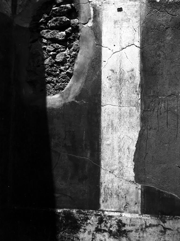 VI.9.6 Pompeii. W.828. Room 12, detail from north wall of cubiculum.
Photo by Tatiana Warscher. Photo © Deutsches Archäologisches Institut, Abteilung Rom, Arkiv. 
