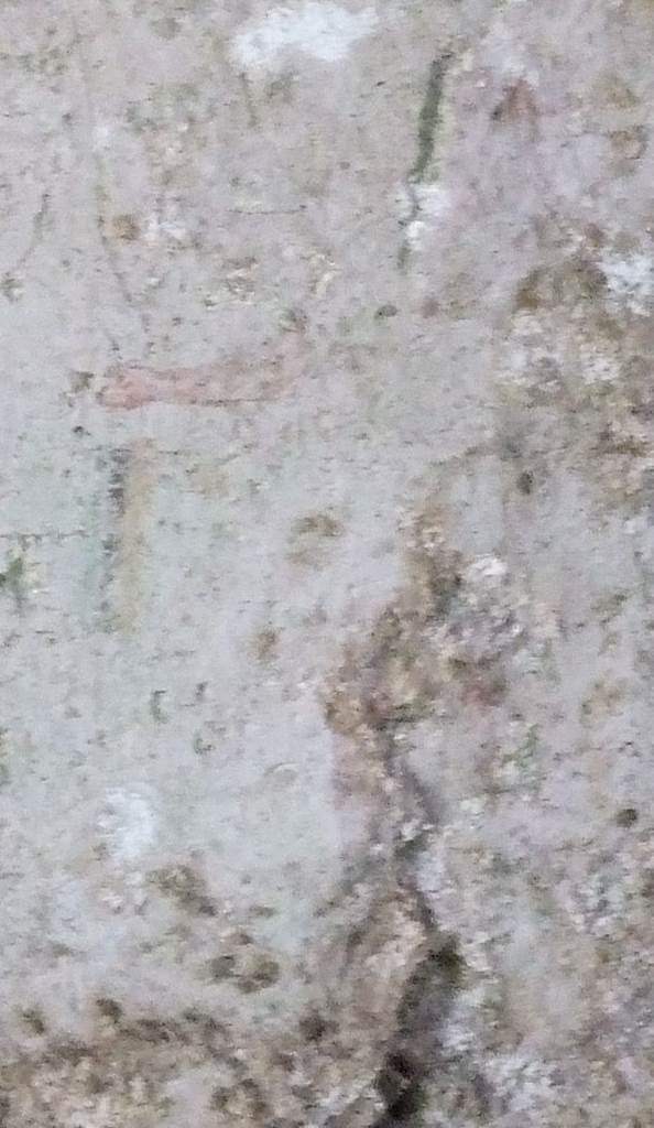 VI.9.10 Pompeii. March 2009. Underground kitchen. Detail of second figure on lararium painting from north wall above altar.

