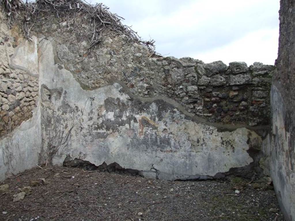 VI.10.7 Pompeii.  March 2009.  Room 7.  Room to north of Tablinum.  East wall.