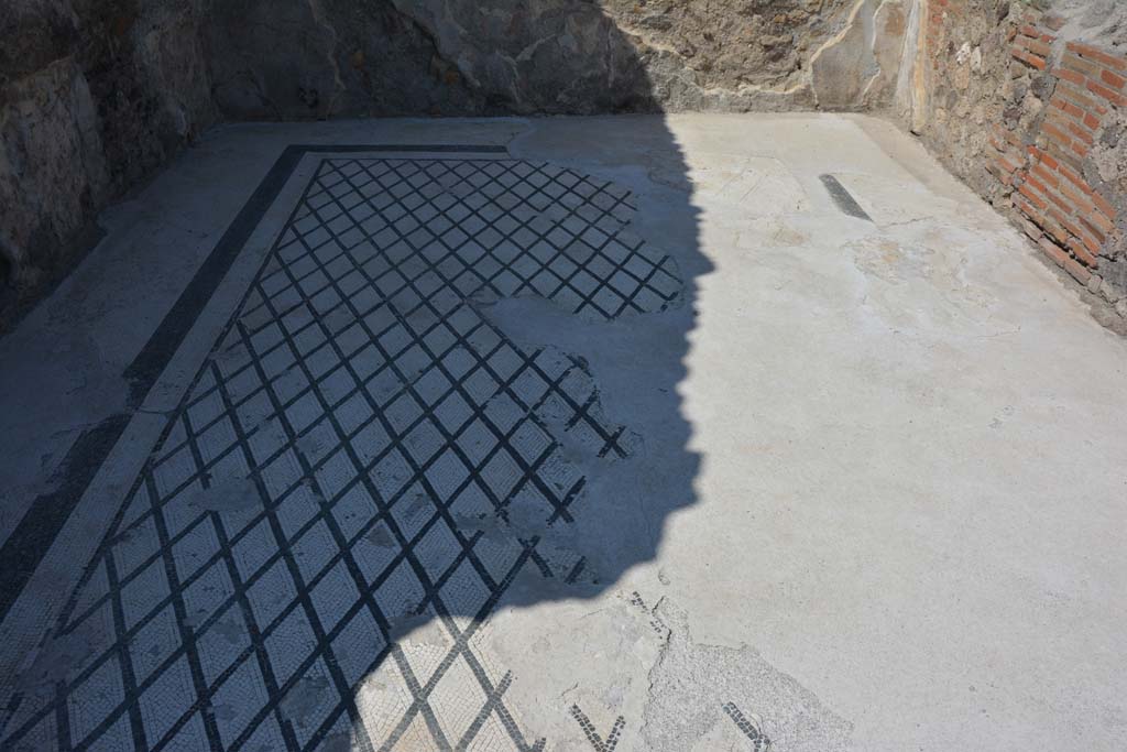VI.10.7 Pompeii. September 2019. Room 11, looking north across flooring.
Foto Annette Haug, ERC Grant 681269 DÉCOR.
