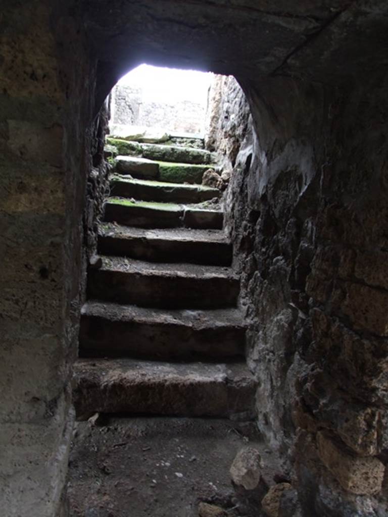 VI.10.7 Pompeii.  March 2009.  Room 12.  Steps at north end of west corridor.