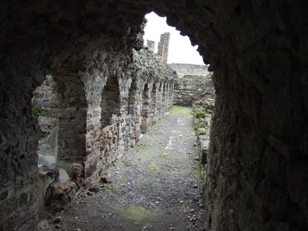 VI.10.7 Pompeii.  March 2009.  Looking south along west corridor behind garden area.