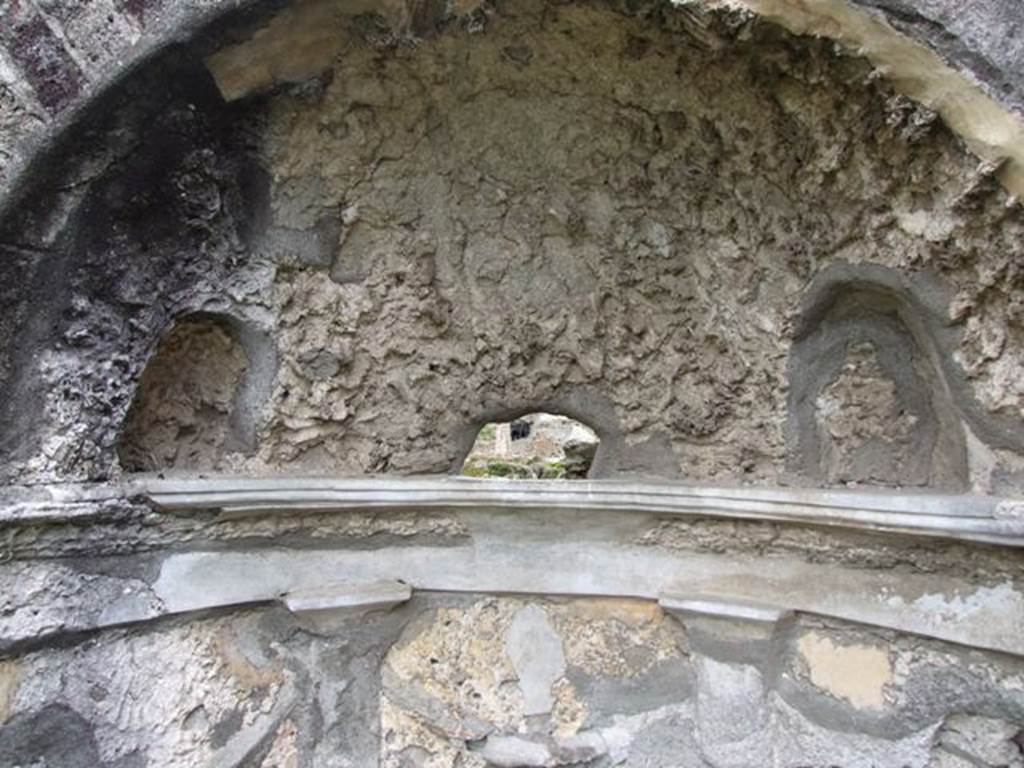 VI.10.7 Pompeii.  March 2009.  Room 15.  Garden area.  South side.  Apsed mosaic niche at west end.  Two small niches and hole in rear wall.
