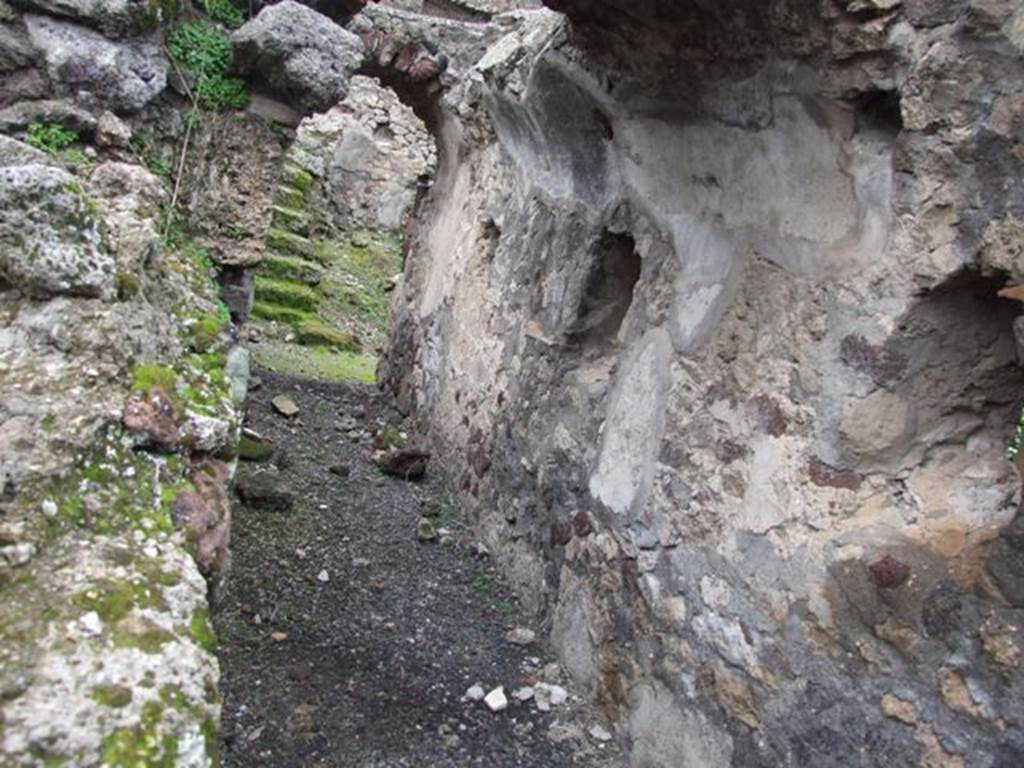 VI.10.7 Pompeii.  March 2009.  Room 15.  Garden area.  South side.  Corridor at rear of fountains looking west.