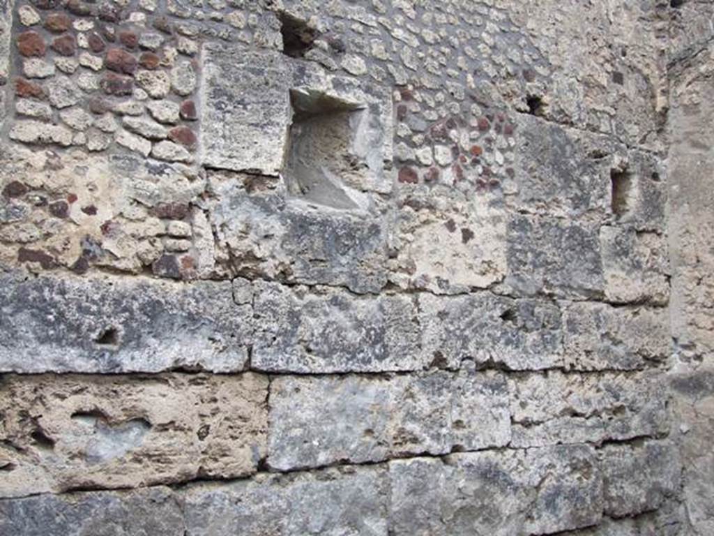 VI.10.11 Pompeii.  March 2009.  Room 9.  Oecus.  West wall.