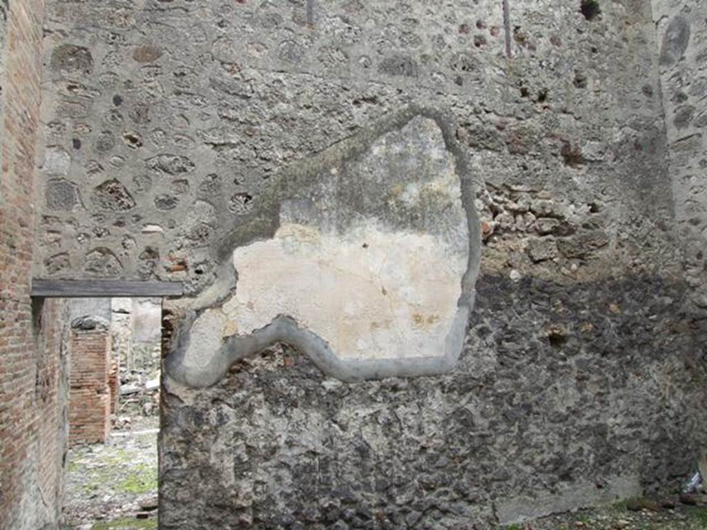 VI.10.11 Pompeii. March 2009. Room 16, remains of plaster on east wall of oecus.
