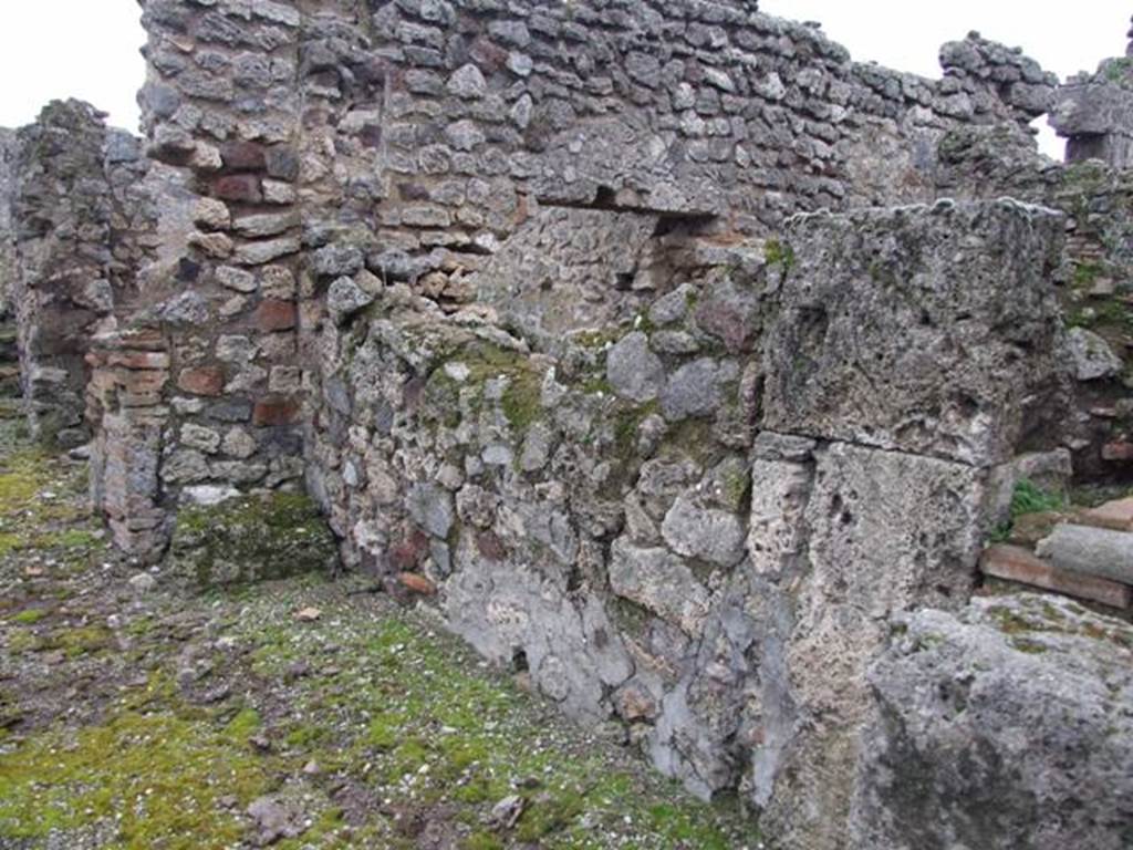 VI.10.11 Pompeii.  March 2009.  Room 23.  South wall.

