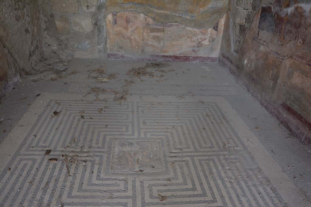 VI.11.10 Pompeii. October 2017. Room 42, looking north across flooring.
Foto Annette Haug, ERC Grant 681269 DCOR


