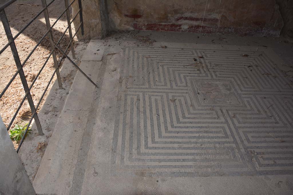 VI.11.10 Pompeii. October 2017. Room 42, looking west across mosaic flooring, at south end.
Foto Annette Haug, ERC Grant 681269 DCOR

