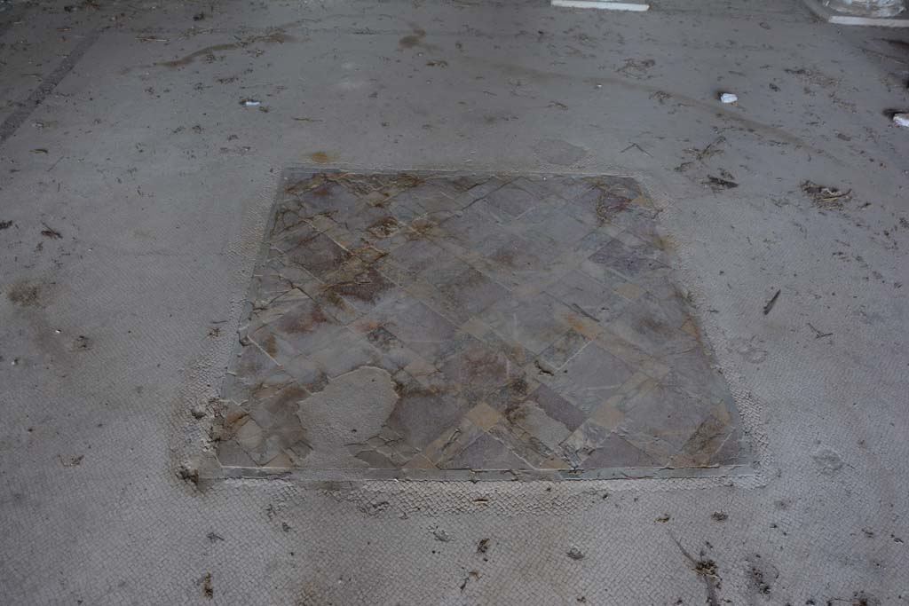 VI.11.10 Pompeii. October 2017. Room 43, central emblema.
Foto Annette Haug, ERC Grant 681269 DÉCOR