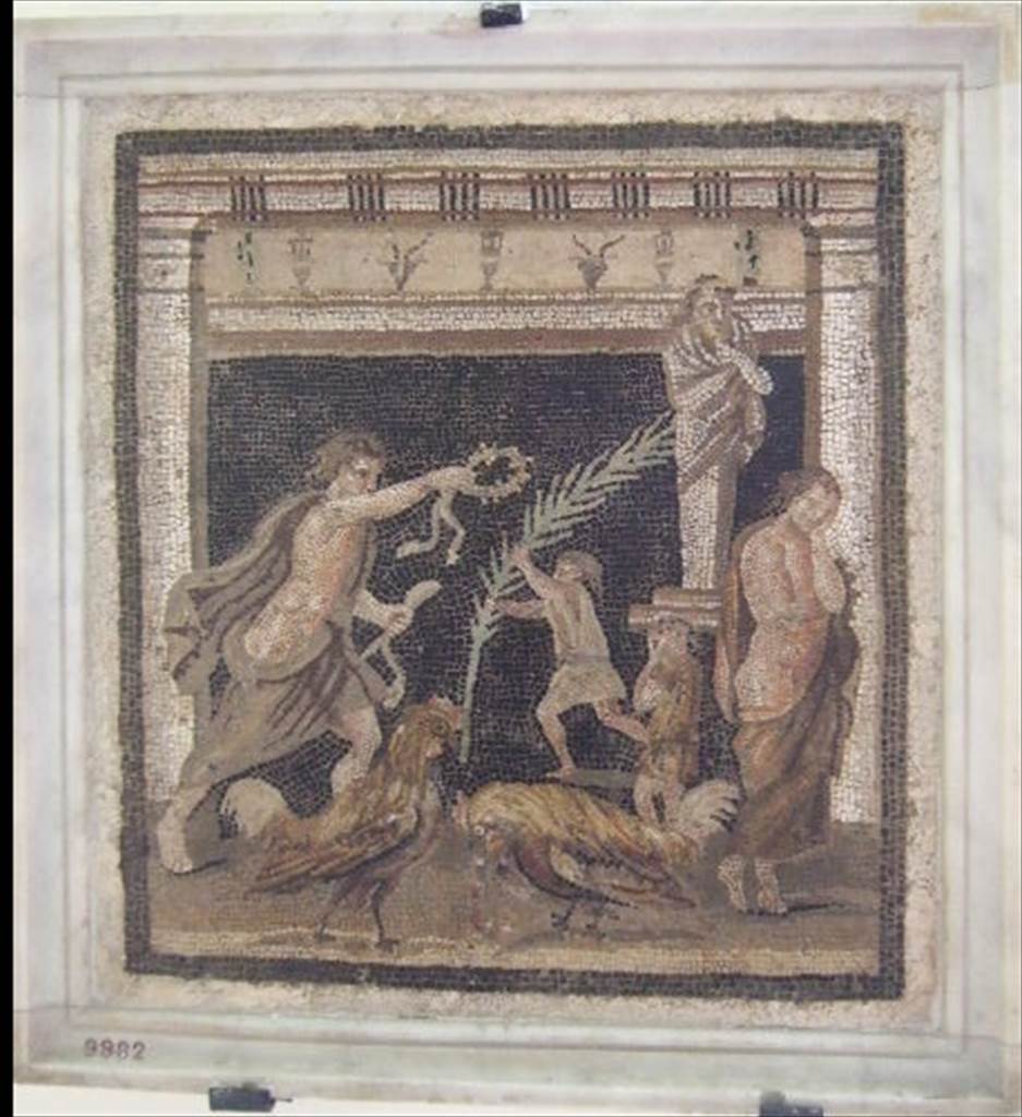 VI.11.10 Pompeii. Found in small room 44, on left side of room 43, on 10th September 1835.
Mosaic showing a cock fight in the presence of two youths.
Now in Naples Archaeological Museum, inventory number 9982.
See Pagano, M. and Prisciandaro, R., 2006. Studio sulle provenienze degli oggetti rinvenuti negli scavi borbonici del regno di Napoli. Naples: Nicola Longobardi. (p.151), PAH II, 316.
According to Fiorelli in PAH, II, (p.316) –
“10th September 1835. And in the floor of the small room on the left, near to the left corner at the head of the same tablinum, we have discovered a second mosaic, sized 18.16 inches squared (0.46m squared) or in italian “pal. 1 ¾ x 1 ¾” showing two cocks having a quarrel, one being injured, his owner stands dejected, while the owner of the victorious cock happily holds out a wreath/crown, as he is handed a palm leaf.”