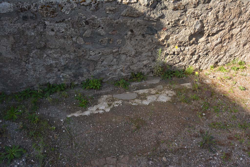 VI.11.10 Pompeii. October 2017. Room 35, traces of mosaic flooring near west wall.
Foto Annette Haug, ERC Grant 681269 DÉCOR