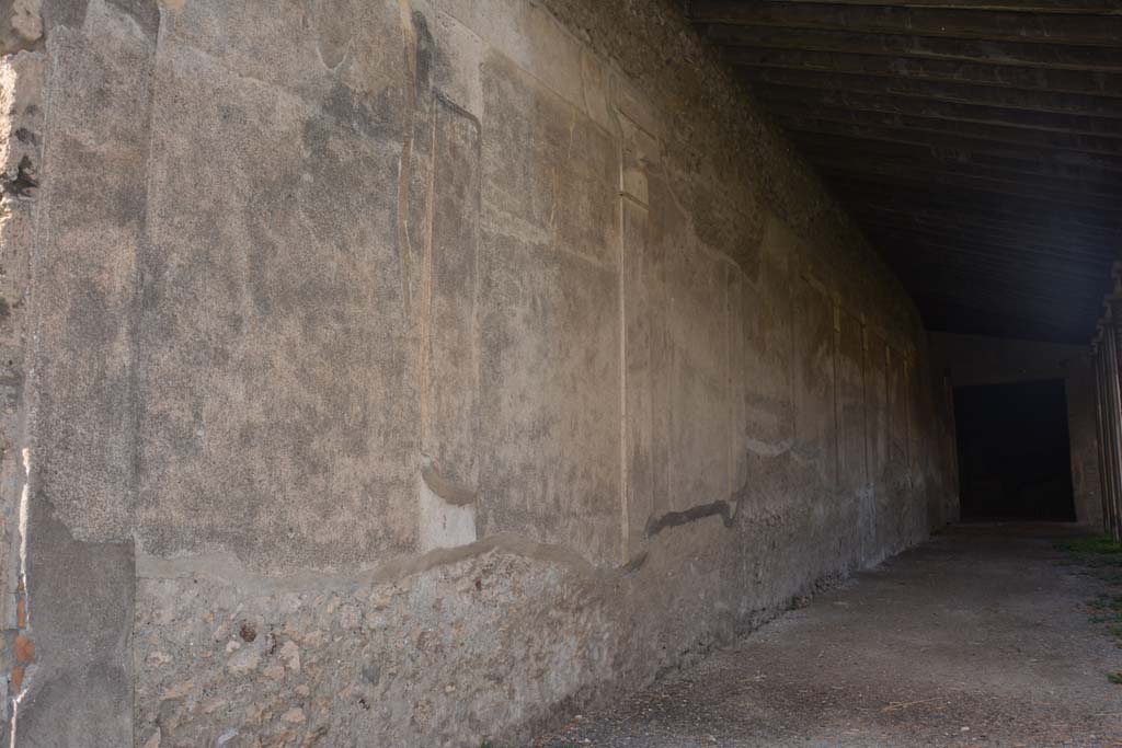 VI.11.10 Pompeii. October 2017. Peristyle 36, looking north along wall of west portico.
Foto Annette Haug, ERC Grant 681269 DÉCOR