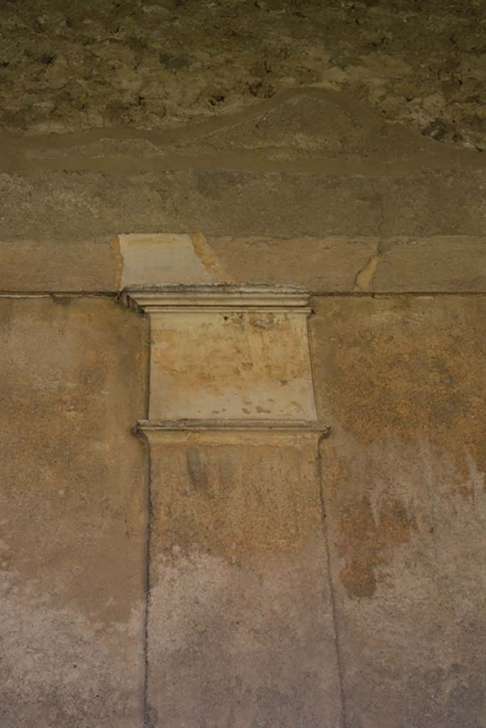 VI.11.10 Pompeii. October 2017. Peristyle 36, detail from west wall of portico.
Foto Annette Haug, ERC Grant 681269 DÉCOR