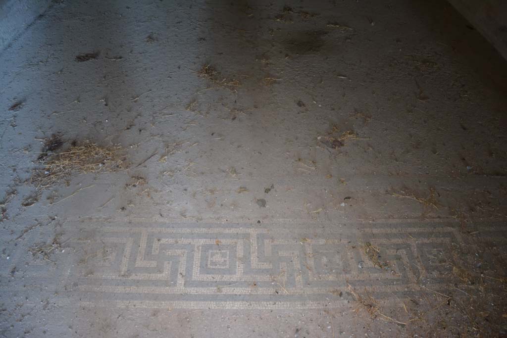 VI.11.10 Pompeii. December 2017. Room 39, detail of meander pattern in mosaic flooring.
Foto Annette Haug, ERC Grant 681269 DÉCOR
