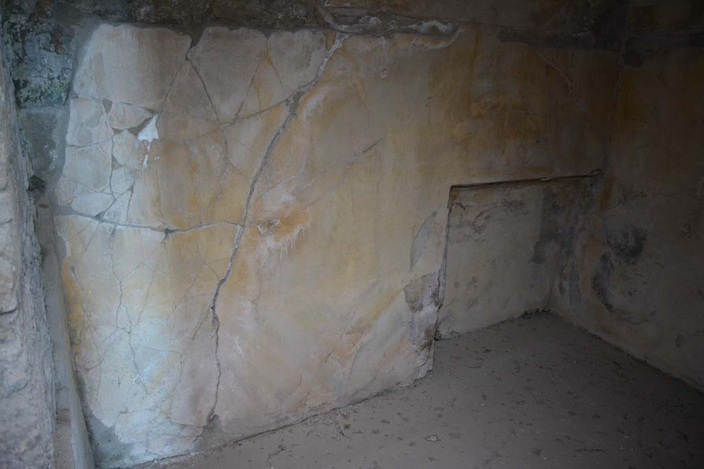 VI.11.10 Pompeii. December 2017. Room 41, looking towards north wall.
Foto Annette Haug, ERC Grant 681269 DÉCOR