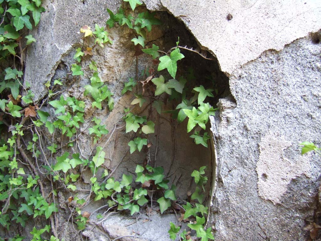 VI.11.17 Pompeii. September 2005. Niche.