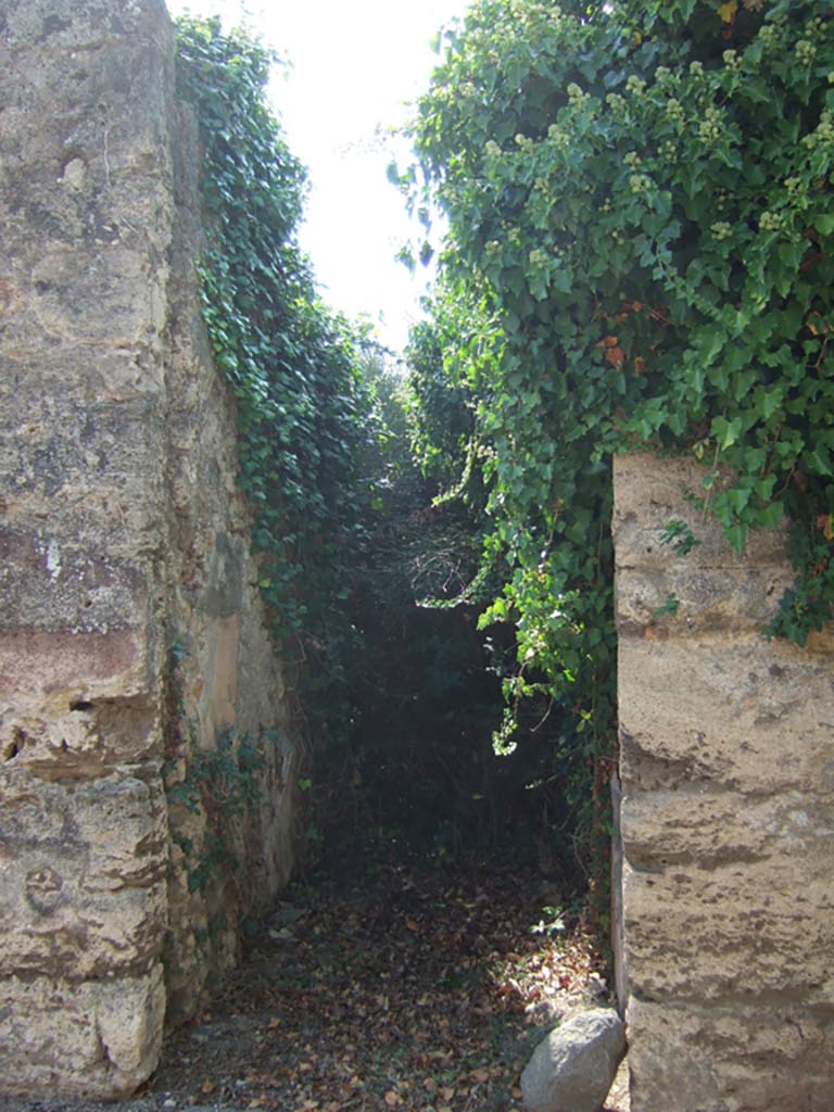 VI.11.19 Pompeii. September 2005. Overgrown entrance doorway.
According to Wallace-Hadrill, this was the main entrance to the atrium, at number 18 was the back entrance to the yard, and at number 20 was a workshop with stairs to the upper floor.  
Originally there were style III and style IV decorations found in three rooms.
See Wallace-Hadrill, A. (1994): House and Society in Pompeii and Herculaneum. Princeton University Press, (p. 210)
