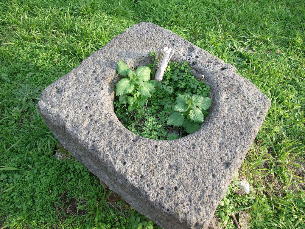VI.11.19 Pompeii. December 2007. Cistern mouth, in atrium (2).  