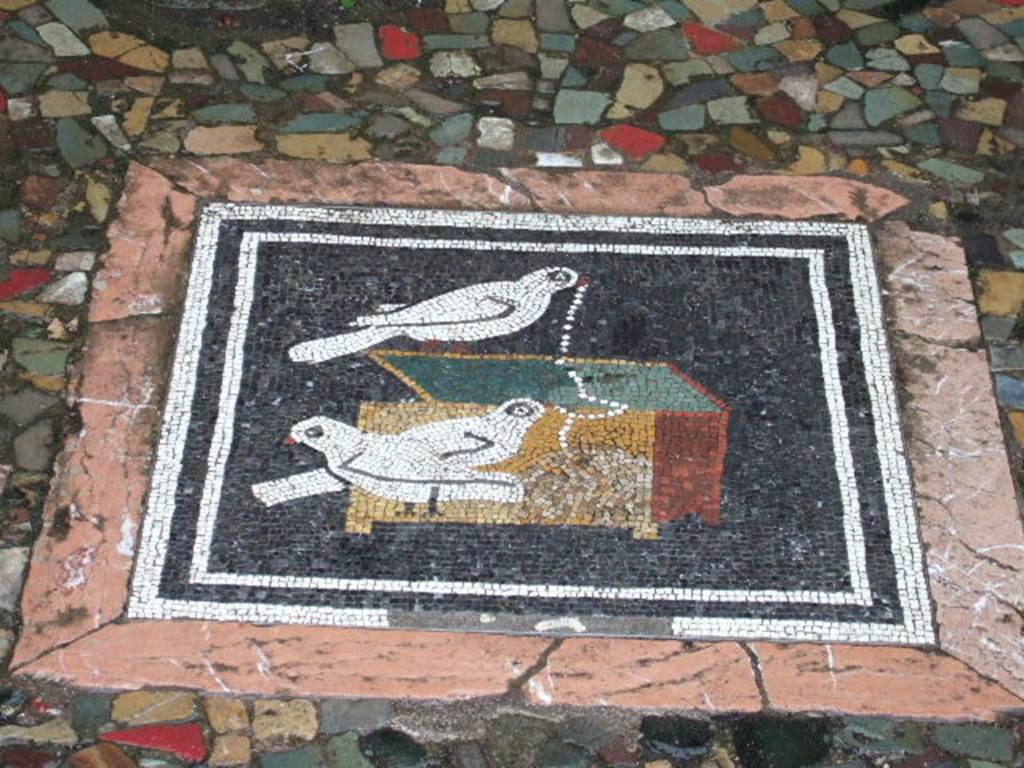VI.12.2 Pompeii. April 2019. Original doves mosaic found in ala 29 on west side of atrium.
This was found 1st December 1830 in ala 29. Photo courtesy of Rick Bauer.
Now in Naples Archaeological Museum. Inventory number s. n. 

