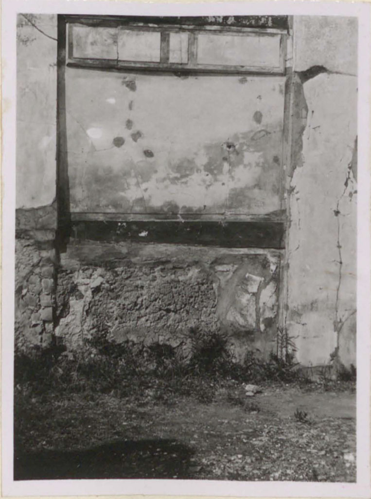 VI.12.2 Pompeii. Pre-1943. Decoration on west wall in south-west corner of middle peristyle/garden.
See Warscher, T. (1946). Casa del Fauno, Swedish Institute, Rome. (p.34, n.47).
