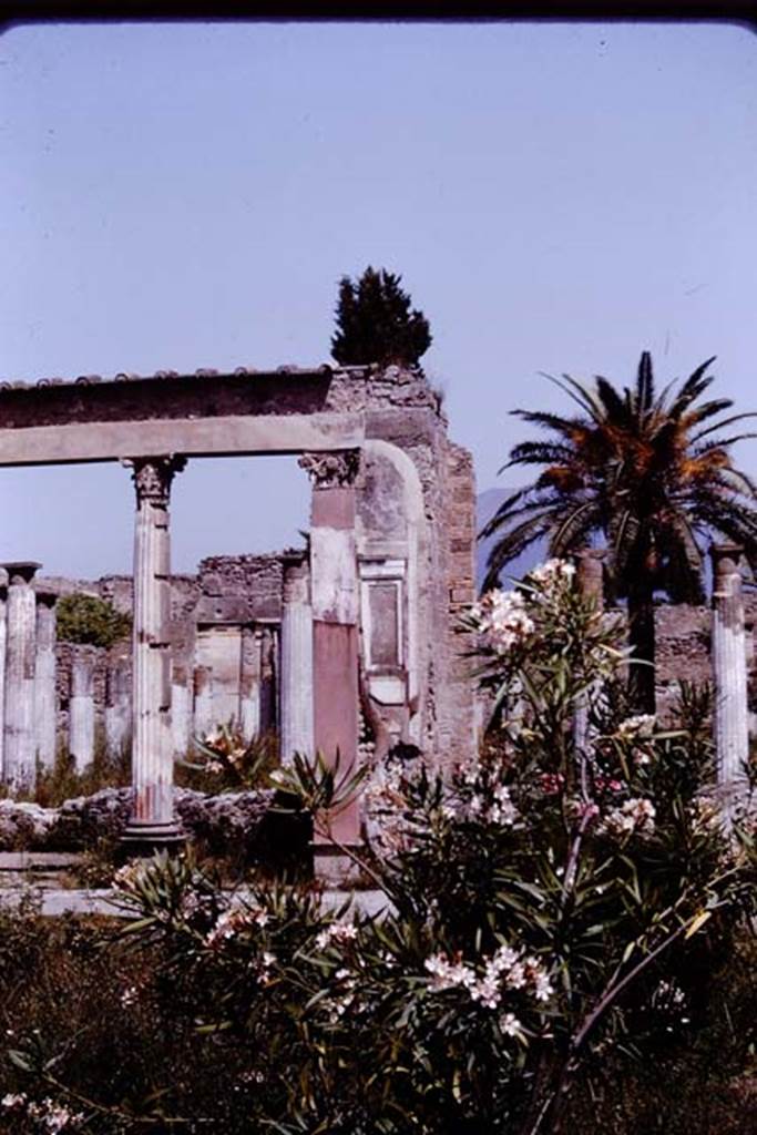 VI.12.2 Pompeii. 1964. Looking north from middle garden towards exedra. Photo by Stanley A. Jashemski.
Source: The Wilhelmina and Stanley A. Jashemski archive in the University of Maryland Library, Special Collections (See collection page) and made available under the Creative Commons Attribution-Non Commercial License v.4. See Licence and use details.
J64f1084
