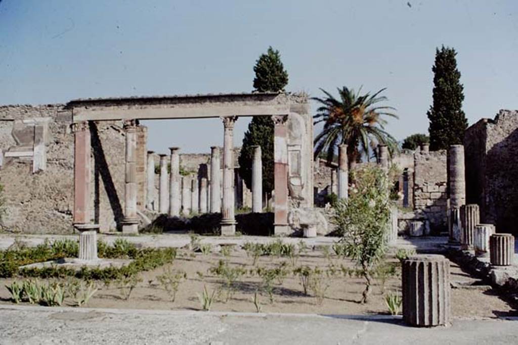 VI.12.2 Pompeii. 1968. Looking north across peristyle garden. Photo by Stanley A. Jashemski.
Source: The Wilhelmina and Stanley A. Jashemski archive in the University of Maryland Library, Special Collections (See collection page) and made available under the Creative Commons Attribution-Non Commercial License v.4. See Licence and use details.
J68f1306
