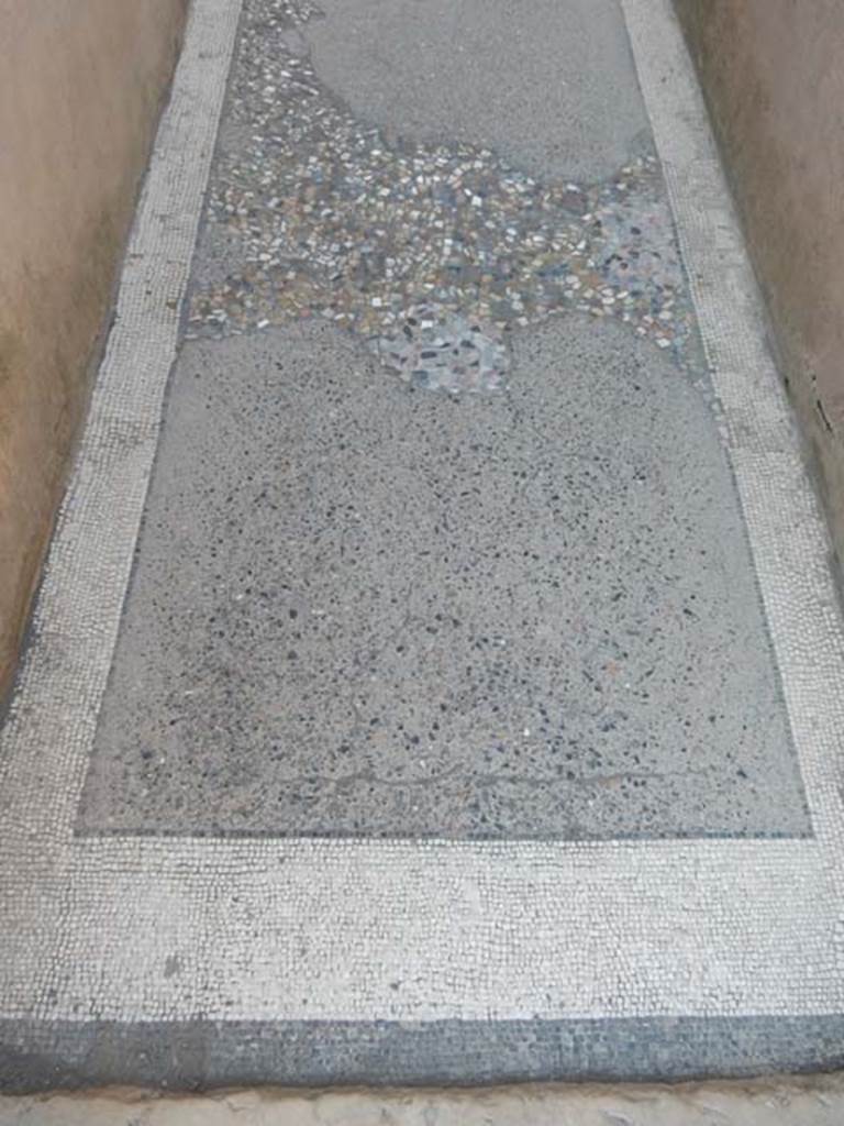 VI.12.2 Pompeii. May 2015. Mosaic floor in corridor, looking north. Photo courtesy of Buzz Ferebee. 

