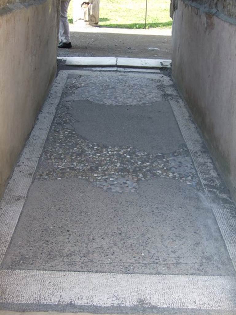 VI.12.2 Pompeii. March 2009. Corridor mosaic floor.