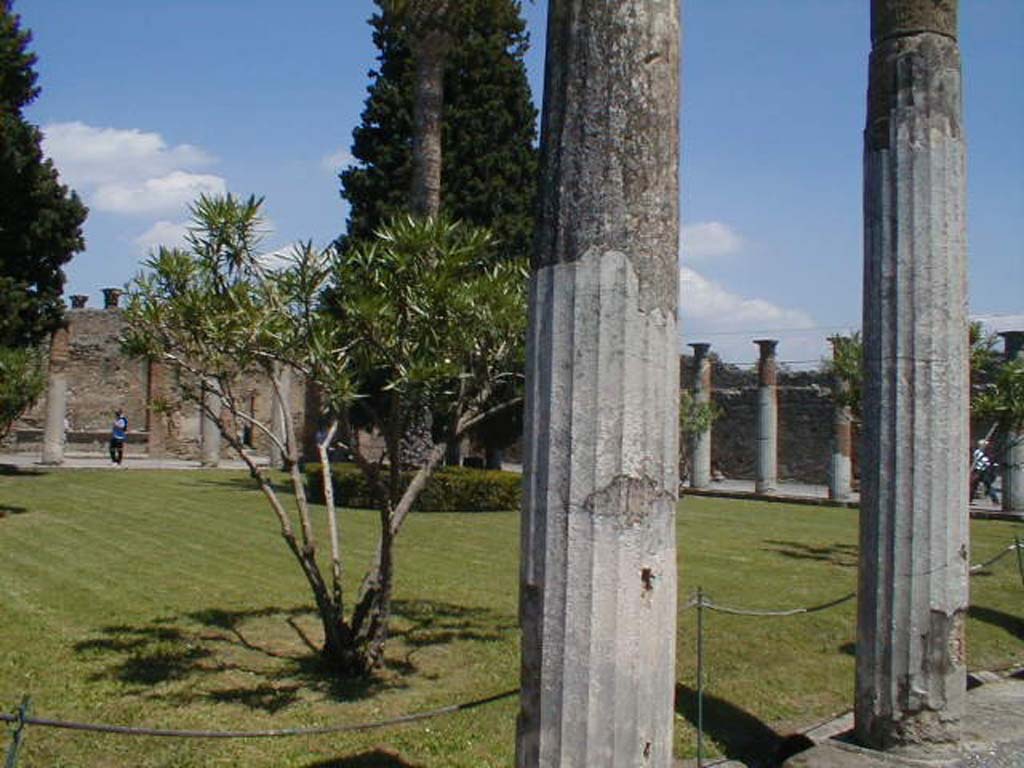 VI.12.2 Pompeii. May 2004. Looking north from south portico across rear peristyle garden towards north-east corner. 