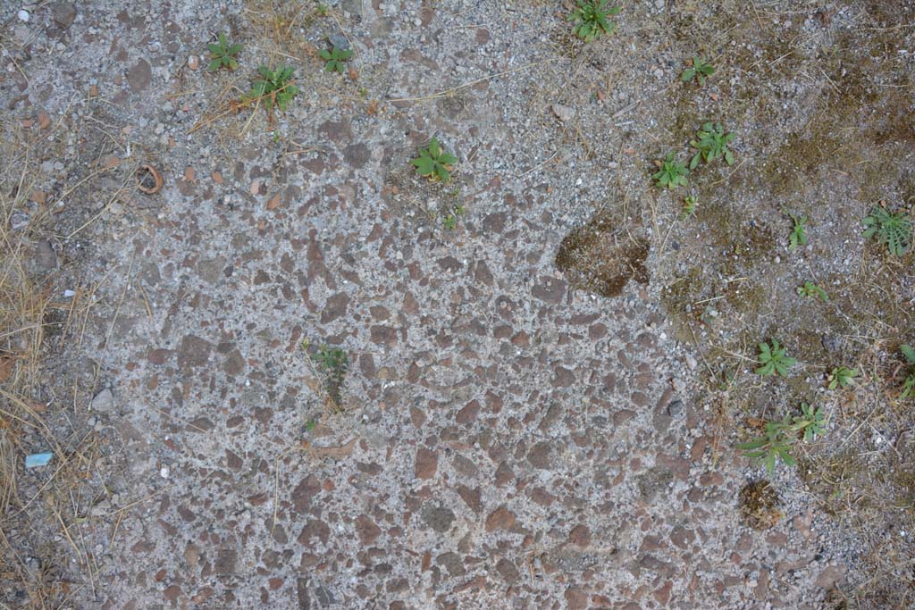 VI.12.5 Pompeii. 14th July 2017. Room 13, flooring.
Foto Annette Haug, ERC Grant 681269 DÉCOR.
