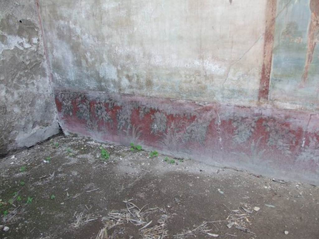 VI.14.20  Pompeii.  March 2009. Room 18, painted plants on lower border on south end of west wall of garden area.