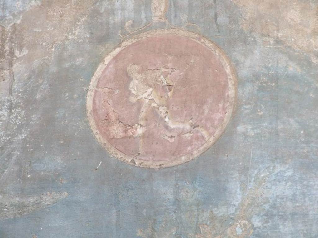 VI.14.20  Pompeii.  March 2009. Room 18.  Garden area.  West wall.  Painted medallion.
