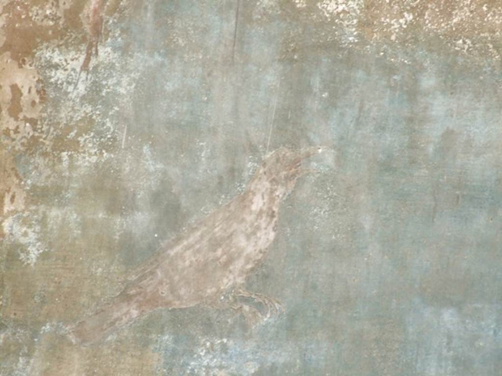 VI.14.20 Pompeii. March 2009. Room 18, painted bird from west wall of garden area.