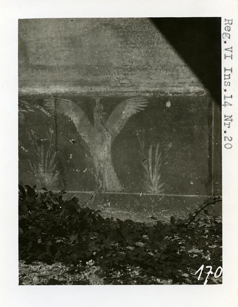 VI.14.20 Pompeii. pre-1937-39. 
Room 10, purple/violet zoccolo painted with panels in which herons with outstretched wings can be seen.
Photo courtesy of American Academy in Rome, Photographic Archive. Warsher collection no. 1702.
